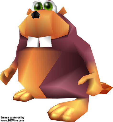 Banjo Kazooie Png Isolated Photo Png Mart