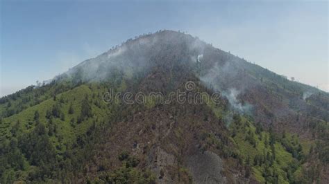 Forest Fire In The Rainforest Boholphilippines Stock Video Video