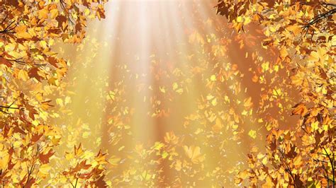 Cool Fall Backgrounds 69 Images