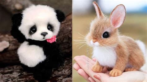 Real Baby Animals