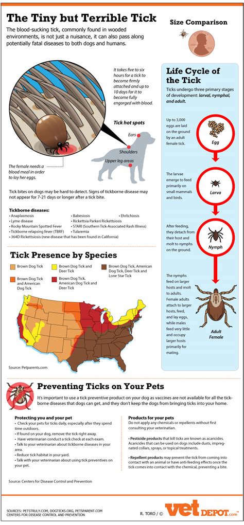 The Tiny But Terrible Tick Infographic