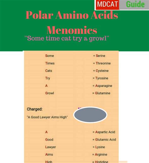 Mnemonics For Amino Acid Classification Mnemonics For Polar Non Polar