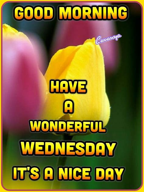 GOOD MORNING HAVE A WONDERFUL WEDNESDAY IT S A NICE DAY Good Morning