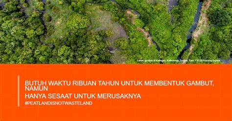 Sebarkan Awareness Lindungi Lahan Gambut Dan Lestarikan Fauna Indonesia