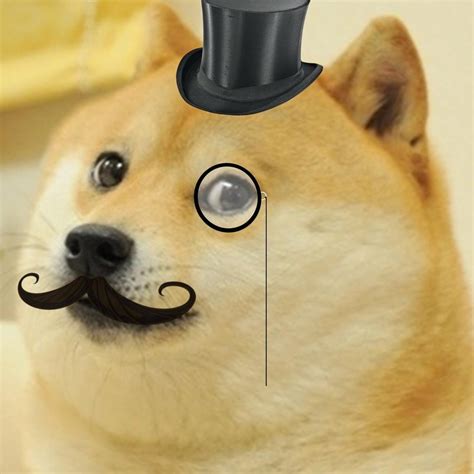 Wow Such Class Doge