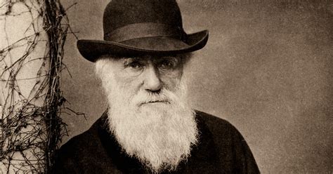 Apuntes De Evolución Los últimos Años De Darwin