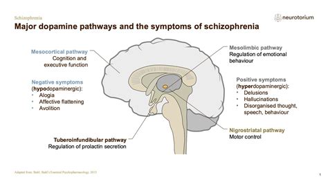Schizophrenia Neurobiology And Aetiology Neurotorium