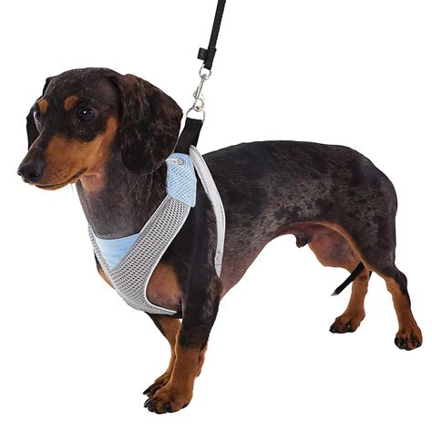 Doggles Blue And Gray V Mesh Harness Baxterboo