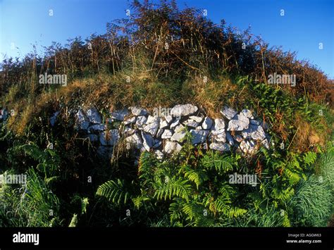 Dry Stone Wall Stock Photo Alamy