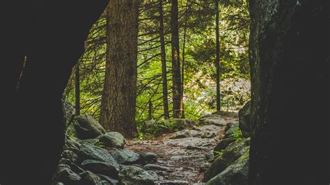 Download Wallpaper 3840x2160 Cave Forest Trees Stones Path 4k Uhd