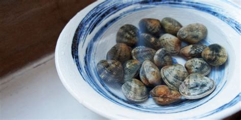 We strongly recommend boiling steamers as the most reliable cooking method to remove any excess sand inside the clam. How to Cook Clams - Great British Chefs