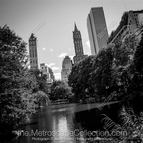 Central Park Black And White Photos