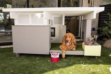 Dog House Luxury Design Retreats Apartment Therapy