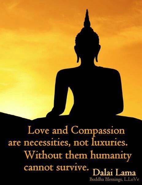 Buddha Compassion Quotes Shortquotescc
