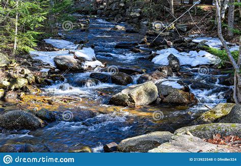 Stream Winding Throuth The Wilderness Of New England Stock Photo