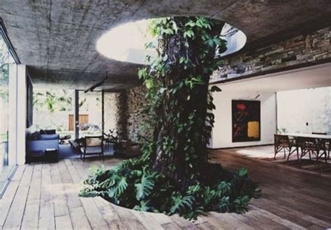 Amazing Artistic Tree Inside House Interior Design 15 Tree Inside