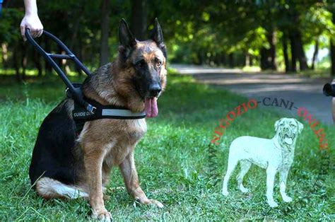 Pettorine per cani, un accessorio che non è accessorio ma fondamentale se si tratta di portare a spasso un cane senza correre pericolo, senza farglieli correre e senza fargli male. pettorina per cane guida / pastore tedesco - €78.9