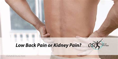 Low Back Pain Or Kidney Pain Common Pain Questions