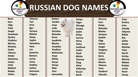 What Is The Name Of The Dog In Russia