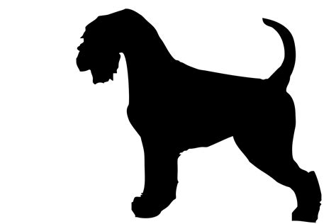 Dog Schnauzer Black Silhouette Free Stock Photo Public Domain Pictures