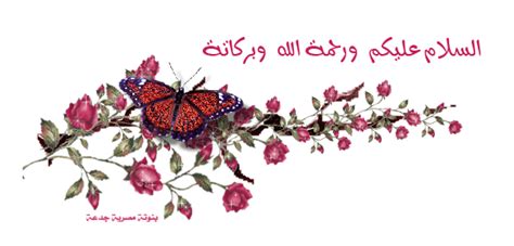 السلام عليكم ورحمة الله وبركاته انا اتابع دروس التعليقات الأولية للبادئين في دراسة الآجرومية عبر الدروس الصوتية، لكن للأسف لم أستطع الحصول على الكتاب في منطقتنا و طلبت احد الاخوة ان ياتيني به من المعرض فلم يجده، وارجوا منكم ان تقوموا بتصويره ونشره. السلام عليكم ورحمة الله وبركاته مزخرفه للايفون