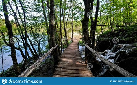 Wooden Road In The Forest Lakes Bridge Green Nature Waterfalls