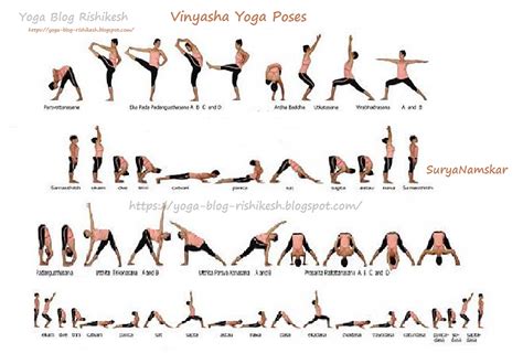 What Is Yinyasa Yoga Vinyasa Yoga Poses Benefits Of Vinyasa Yoga