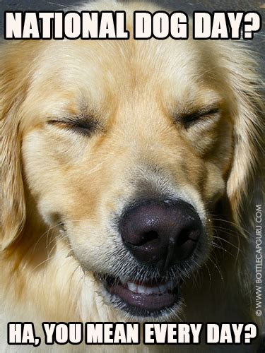Dog Day Cards Free Dog Day Wishes Greeting Cards 123 Greetings