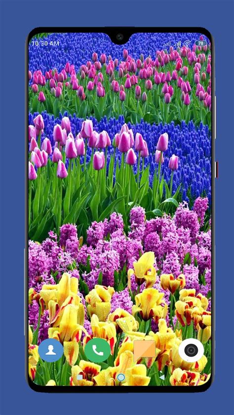 Beautiful Spring Wallpaper 4k For Android Apk Download