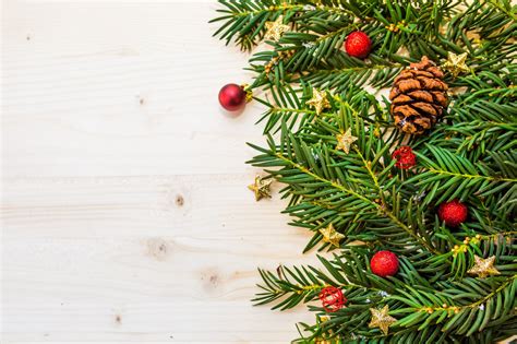 A Real Christmas Tree Is The Right Choice For Nature — The Nature