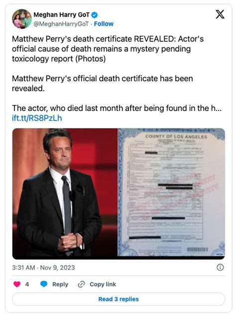 Publicados Los Detalles Del Certificado De Defunci N De Matthew Perry