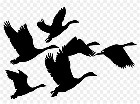Canada Goose Duck Bird Flock Geese Flying Clip Art Free Transparent