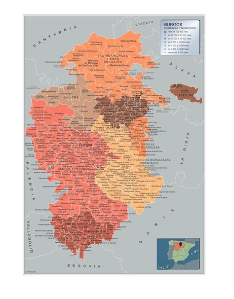 Mapa Municipios Burgos Vector World Maps