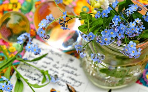 Forget Me Not Flowers Vase Mystery Wallpaper
