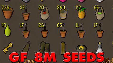 Farming Dem Yew Seeds Expensive Sheeet Youtube