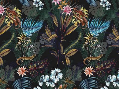 24 Black Tropical Wallpapers Wallpapersafari