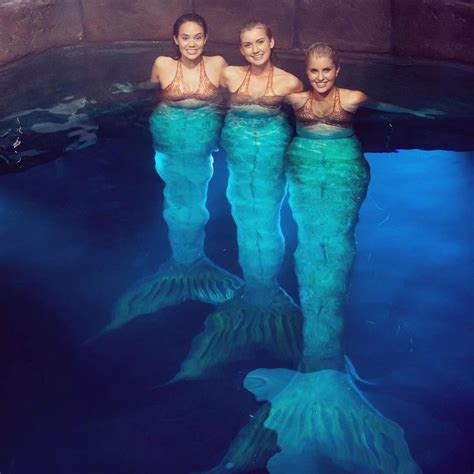 Three Mermaids Are Standing In The Water With Their Backs Turned To Look Like They Re Swimming