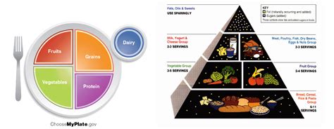 Los carbohidratos son el grupo de alimentos que forman la base del pirámide alimenticio. Food Pyramid & MyPlate | Mount Holyoke College