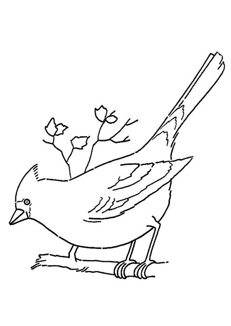 Our unique coloring pages are great for adults who have an inner kid too! Cardinal On A Branch Coloring Page - Free Printable ...