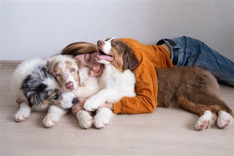Woman Hug Three Beatiful Small Merle Australian Shepherd Puppy Dog