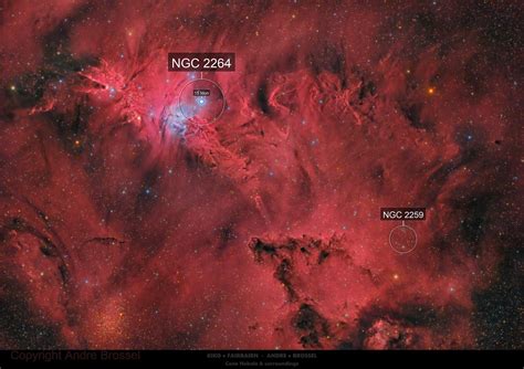 Ngc 2264 The Cone Nebula The Fox Fur And The Christmas Tree Cluster