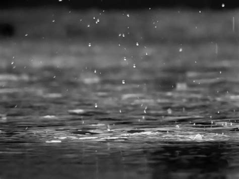 Rain Drop Water And Water Drop 4k Hd Wallpaper