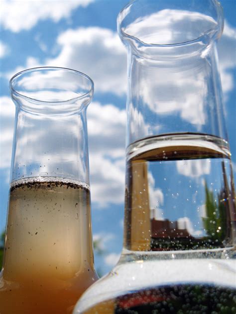 What are the synonyms for the word clear? 11 | April | 2012 | Soaking Up The Son