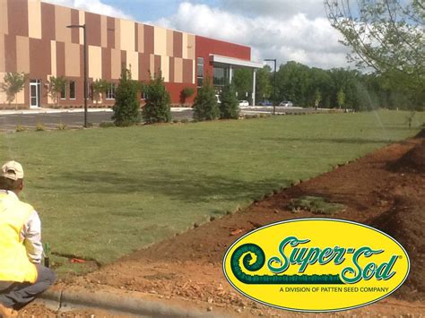 Emerald zoysia sod is available, in individual rolls. Tons of sod! 5 truckloads of Bermuda Tifway 419 from Super ...