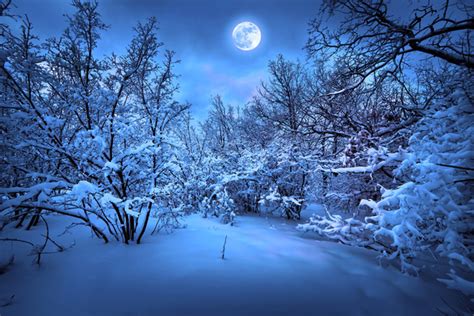 Beautiful Snow Scene With Bright Moon Stock Photo Free Download
