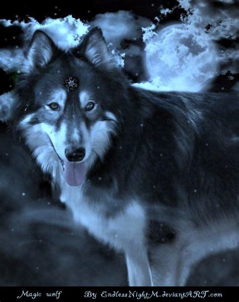 Pin By Lisa Luna On Wolf Magic Wolf Pictures Mystical Wolf Wolf