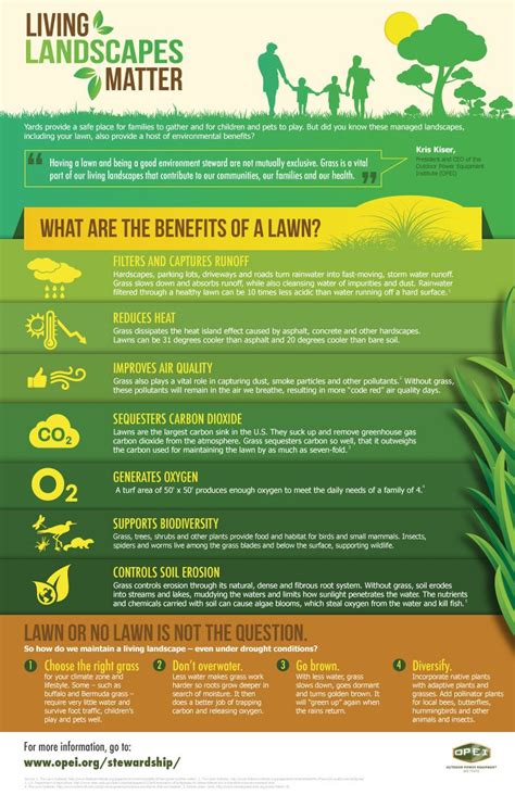 In addition to four nutragreen treatments between january and december, plus an application of oasis with our summer ready treatment, our standard programme features tailored aeration and scarification machine work, both of which are important annual services for a healthy lawn. Lawn Benefits #Infographic (With images) | Lawn care tips ...