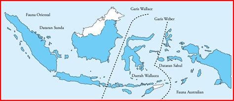 Demikian penjelasan tentang peta persebaran flora dan fauna di indonesia. √ Persebaran Flora dan Fauna di Indonesia Beserta ...