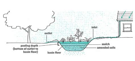 Rain Gardens Sewers Of Wilmette