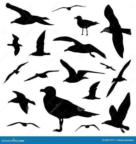 Seagull Silhouette Set Isolated On White Background Vector Set Flying